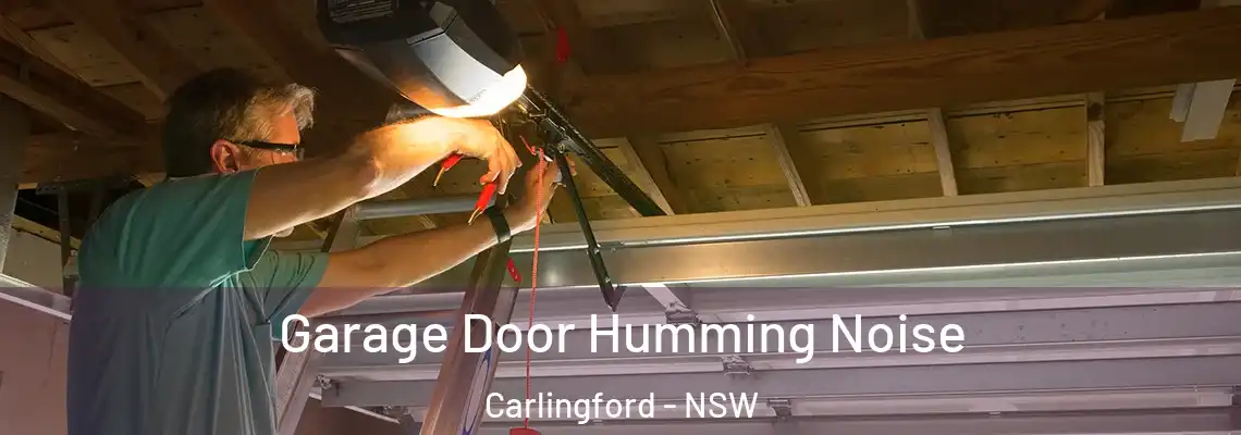 Garage Door Humming Noise Carlingford - NSW