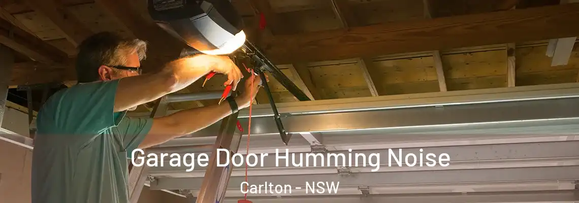 Garage Door Humming Noise Carlton - NSW