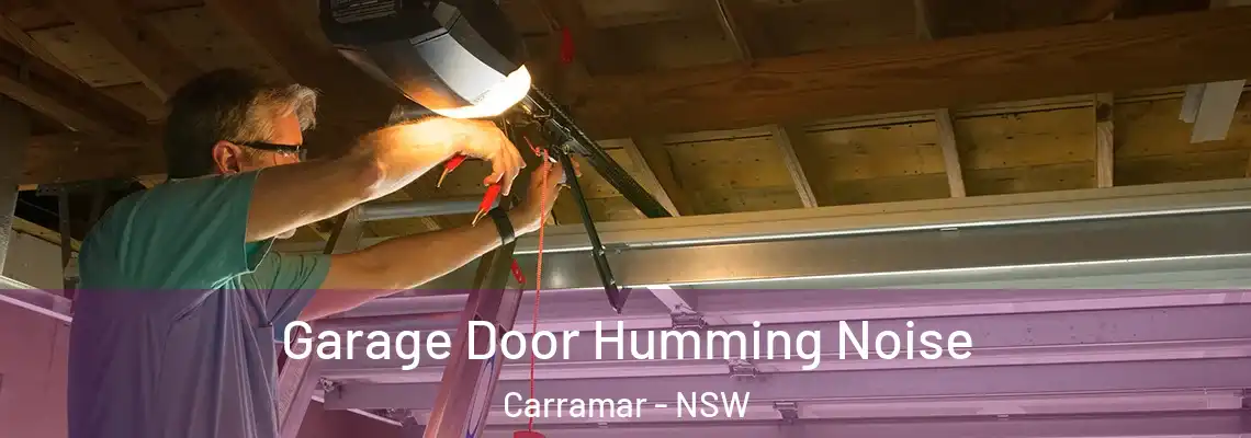 Garage Door Humming Noise Carramar - NSW