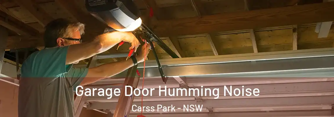 Garage Door Humming Noise Carss Park - NSW