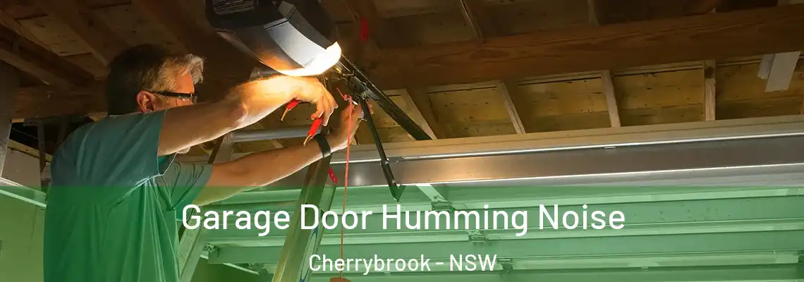 Garage Door Humming Noise Cherrybrook - NSW