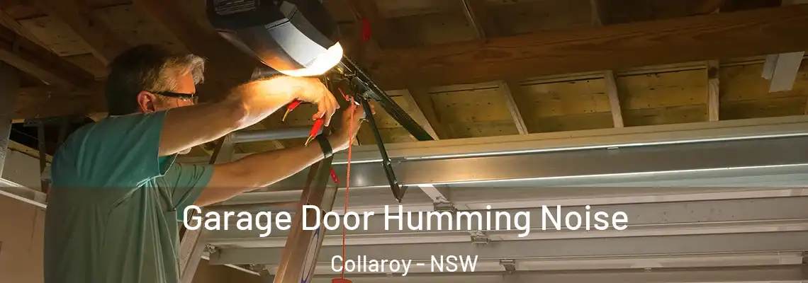 Garage Door Humming Noise Collaroy - NSW