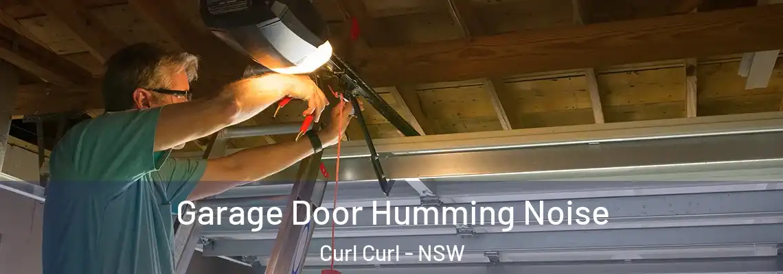 Garage Door Humming Noise Curl Curl - NSW