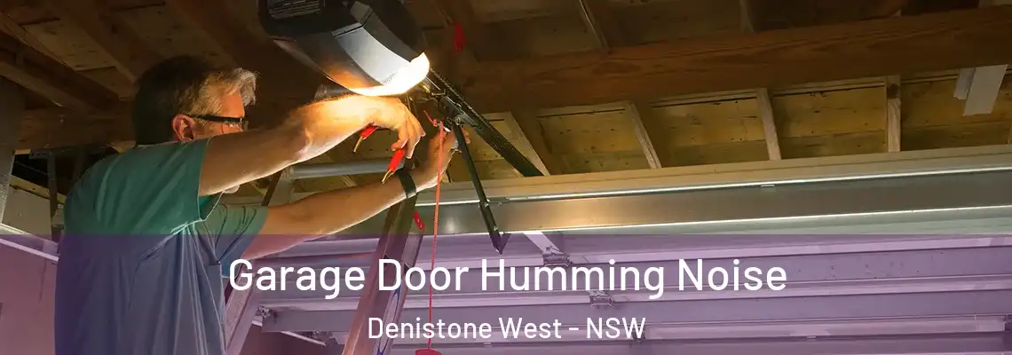 Garage Door Humming Noise Denistone West - NSW