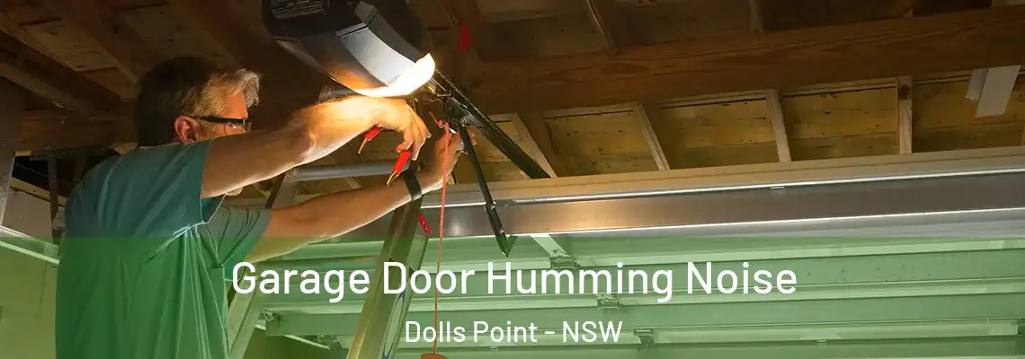 Garage Door Humming Noise Dolls Point - NSW