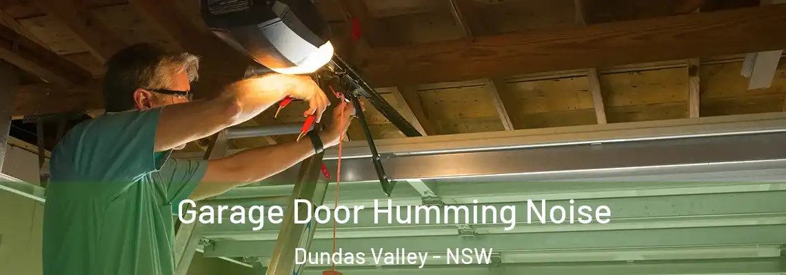 Garage Door Humming Noise Dundas Valley - NSW