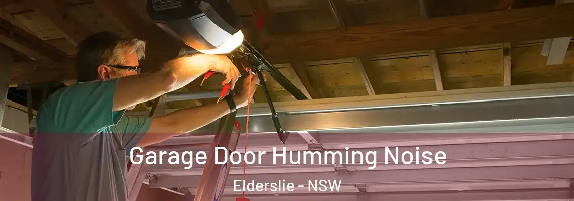 Garage Door Humming Noise Elderslie - NSW