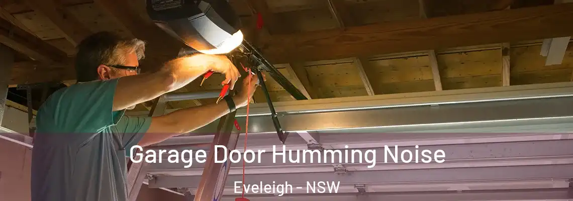 Garage Door Humming Noise Eveleigh - NSW