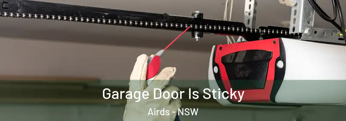 Garage Door Is Sticky Airds - NSW