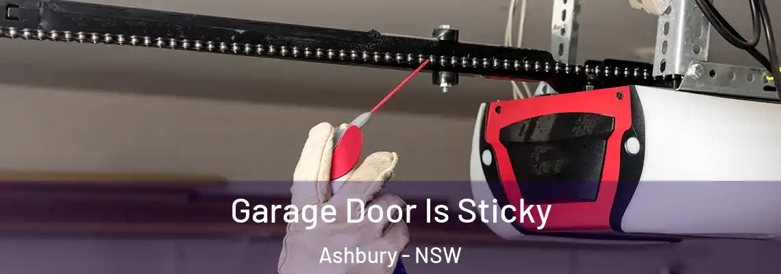 Garage Door Is Sticky Ashbury - NSW