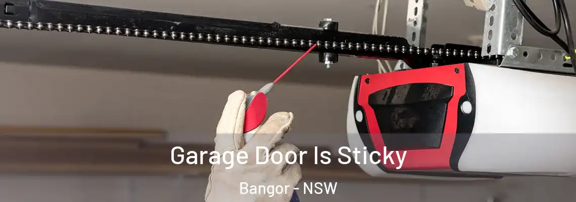 Garage Door Is Sticky Bangor - NSW