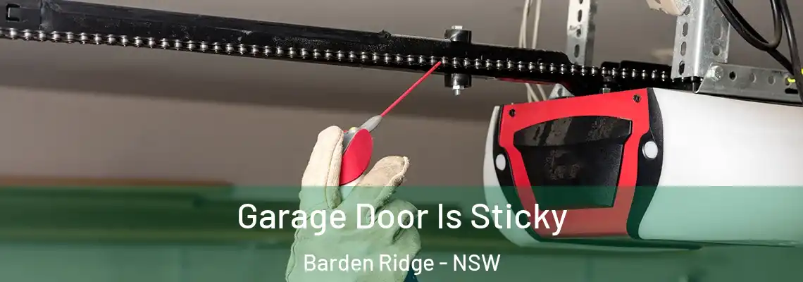 Garage Door Is Sticky Barden Ridge - NSW