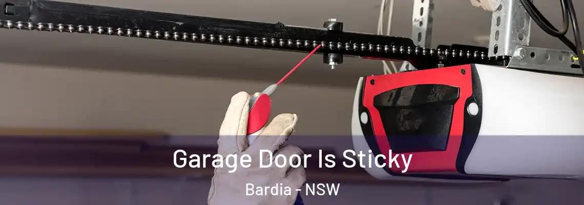 Garage Door Is Sticky Bardia - NSW