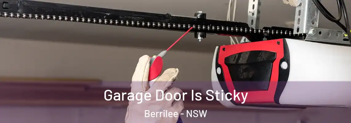 Garage Door Is Sticky Berrilee - NSW