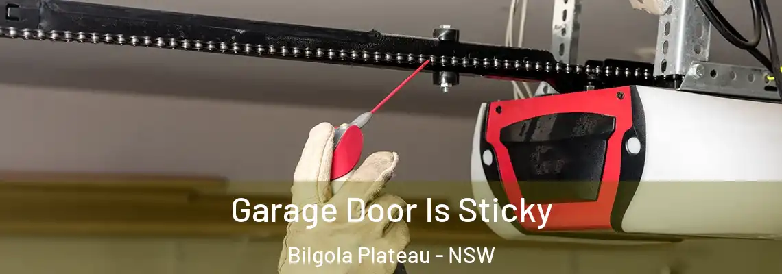 Garage Door Is Sticky Bilgola Plateau - NSW