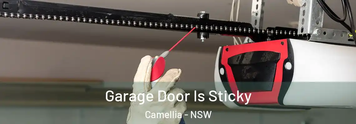 Garage Door Is Sticky Camellia - NSW