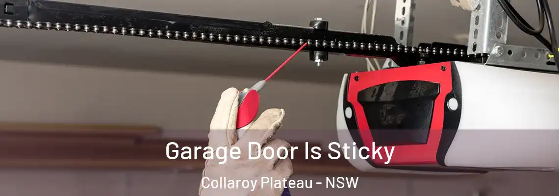 Garage Door Is Sticky Collaroy Plateau - NSW