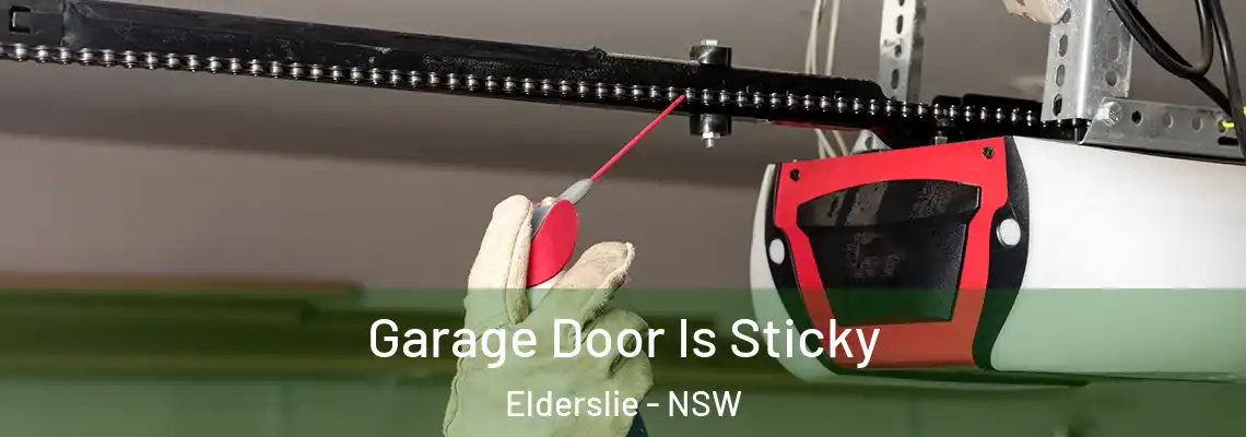 Garage Door Is Sticky Elderslie - NSW