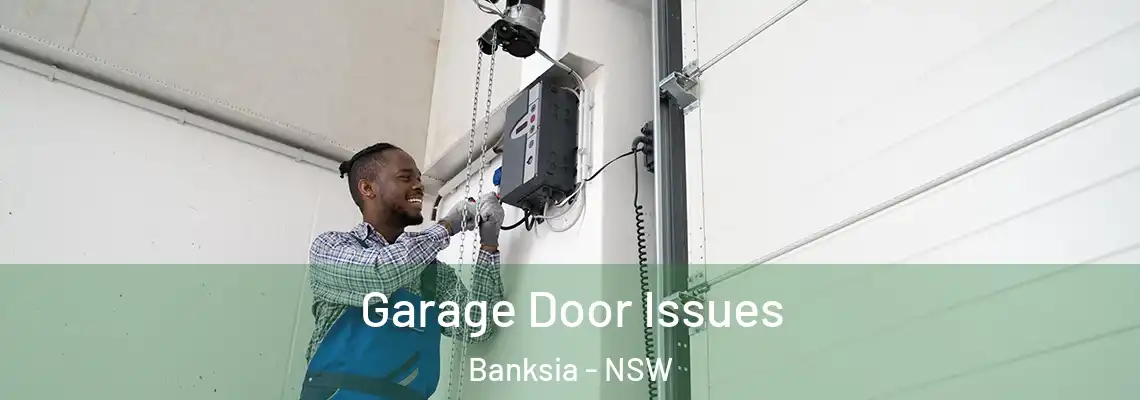 Garage Door Issues Banksia - NSW