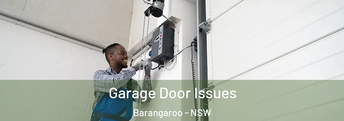 Garage Door Issues Barangaroo - NSW