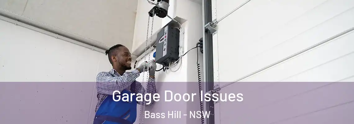 Garage Door Issues Bass Hill - NSW