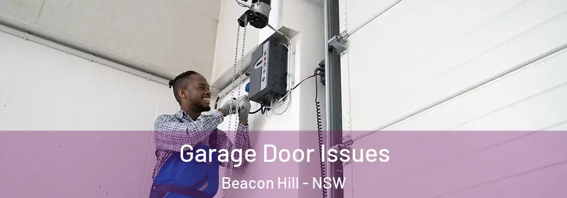 Garage Door Issues Beacon Hill - NSW