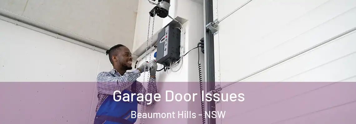 Garage Door Issues Beaumont Hills - NSW