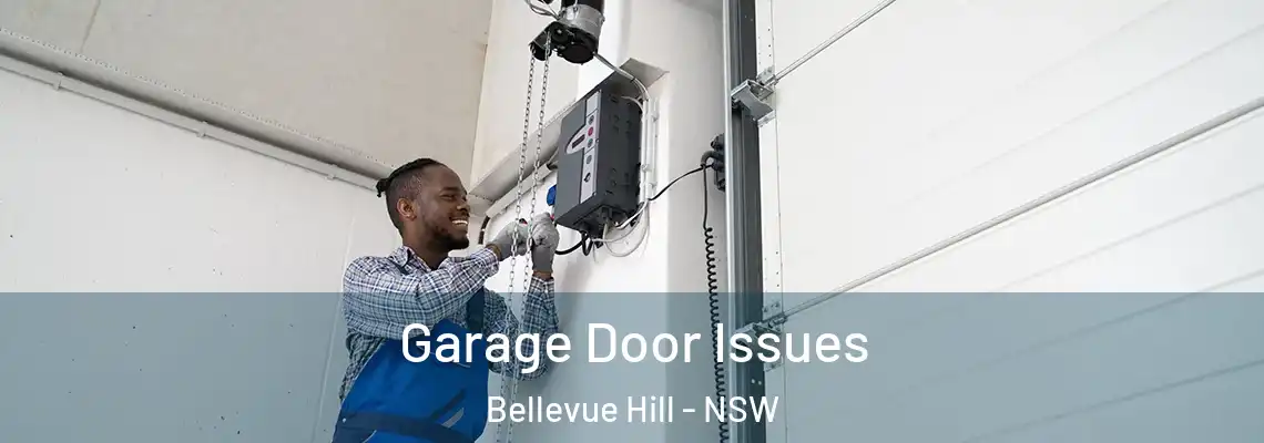 Garage Door Issues Bellevue Hill - NSW
