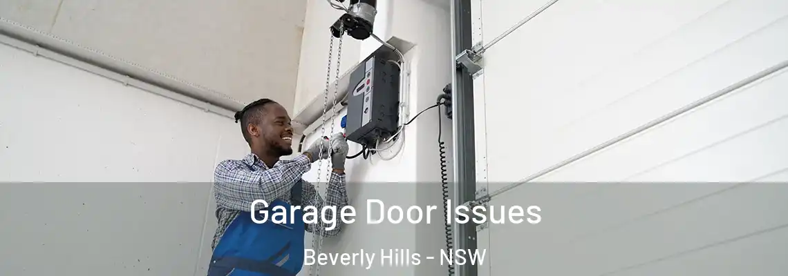 Garage Door Issues Beverly Hills - NSW