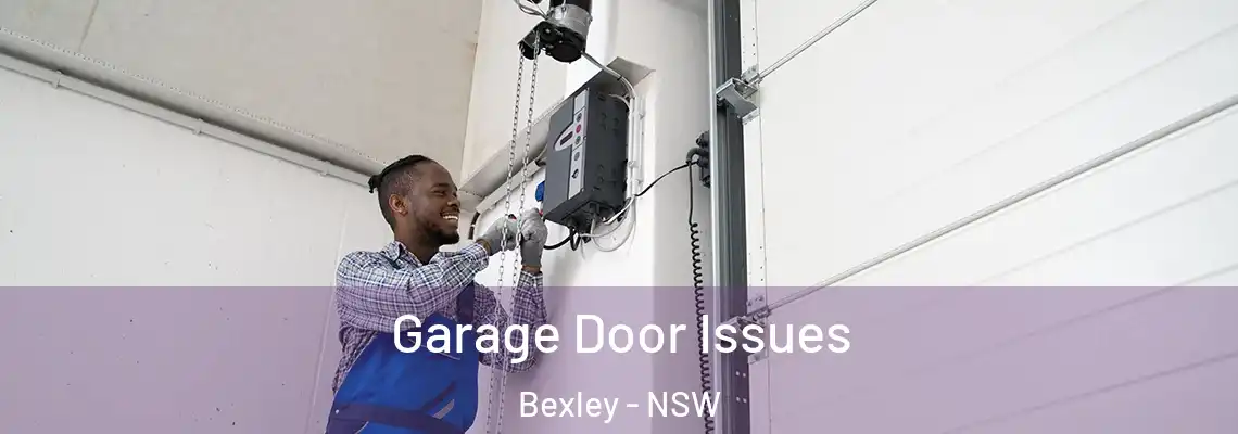 Garage Door Issues Bexley - NSW