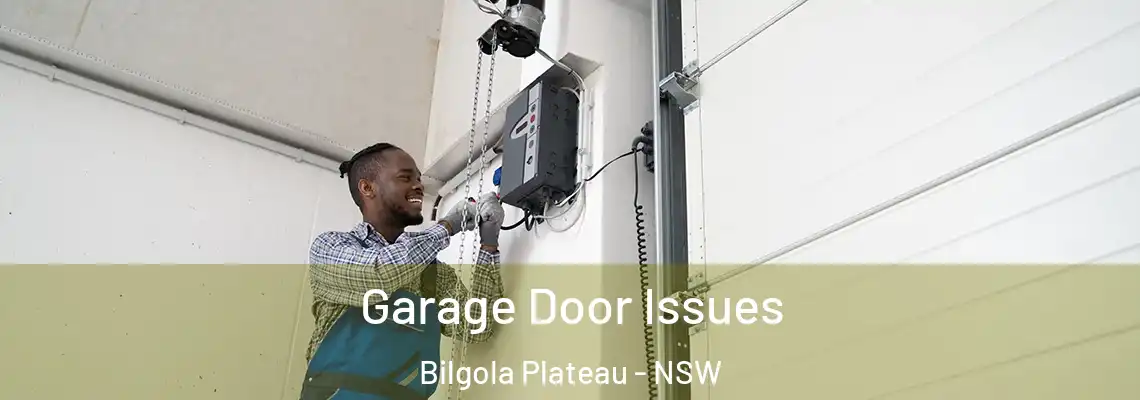 Garage Door Issues Bilgola Plateau - NSW