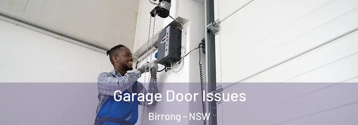 Garage Door Issues Birrong - NSW