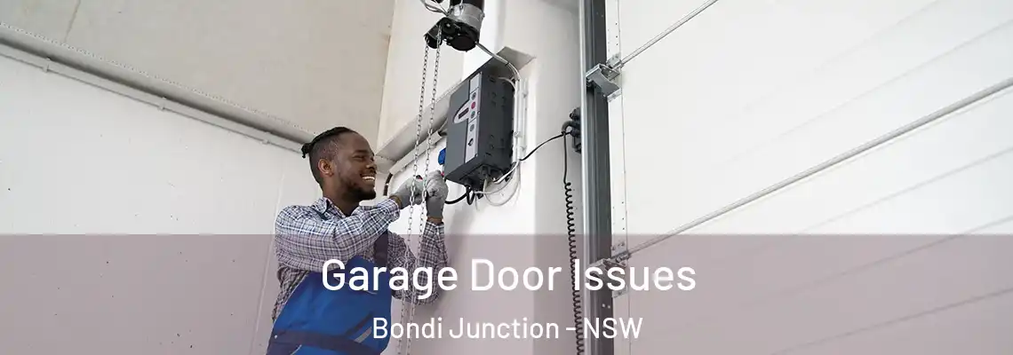 Garage Door Issues Bondi Junction - NSW