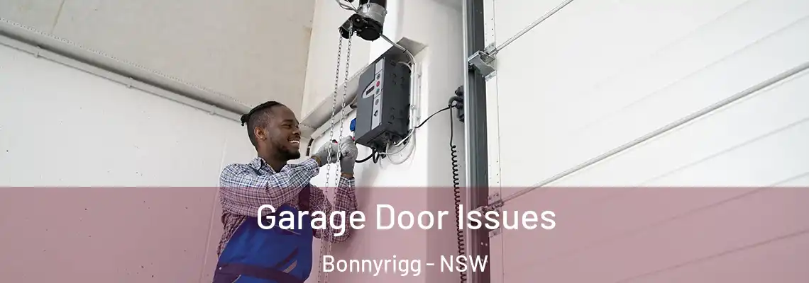 Garage Door Issues Bonnyrigg - NSW