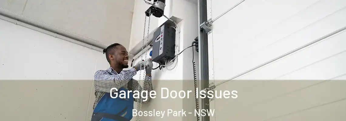 Garage Door Issues Bossley Park - NSW