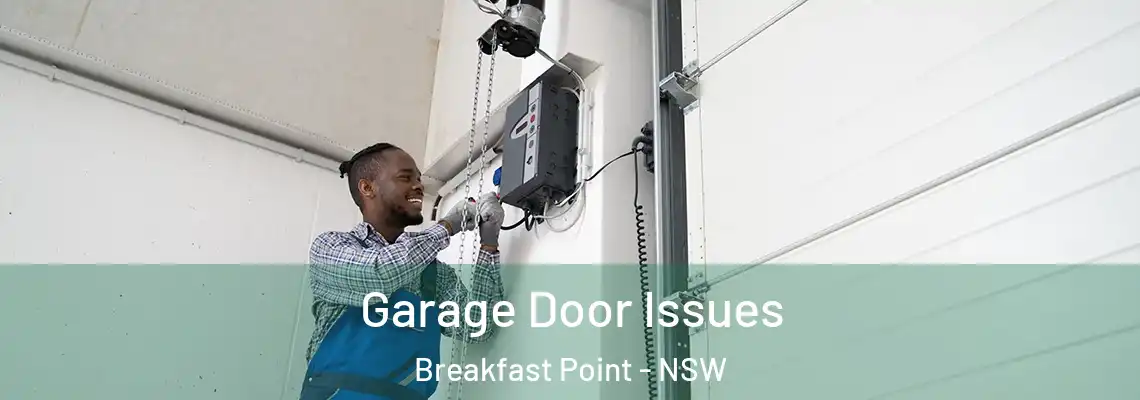 Garage Door Issues Breakfast Point - NSW