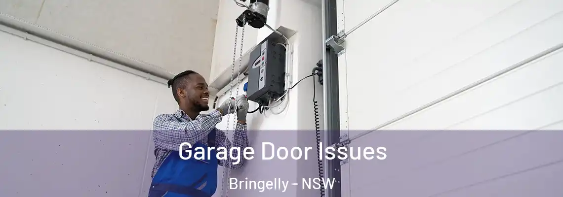 Garage Door Issues Bringelly - NSW