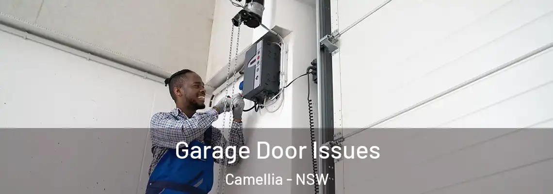 Garage Door Issues Camellia - NSW