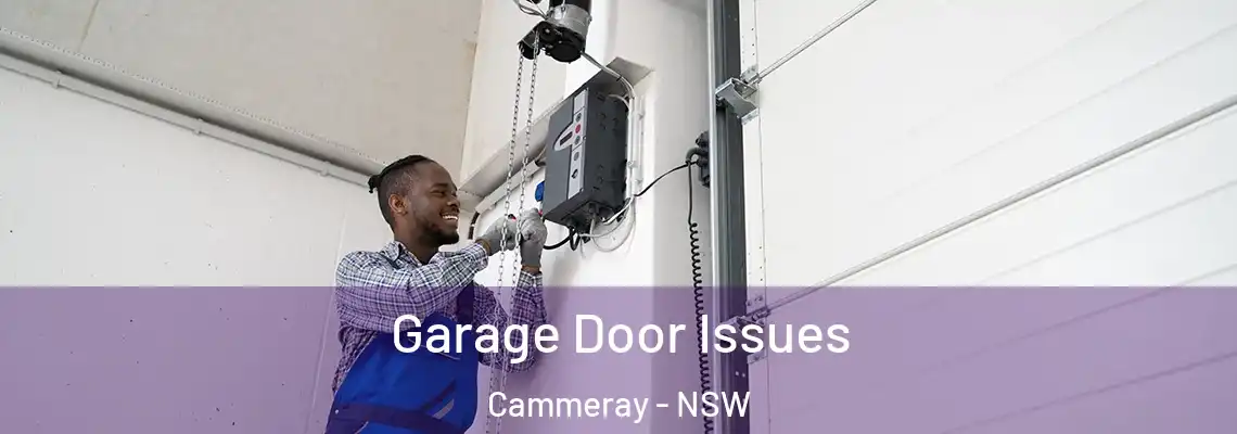 Garage Door Issues Cammeray - NSW