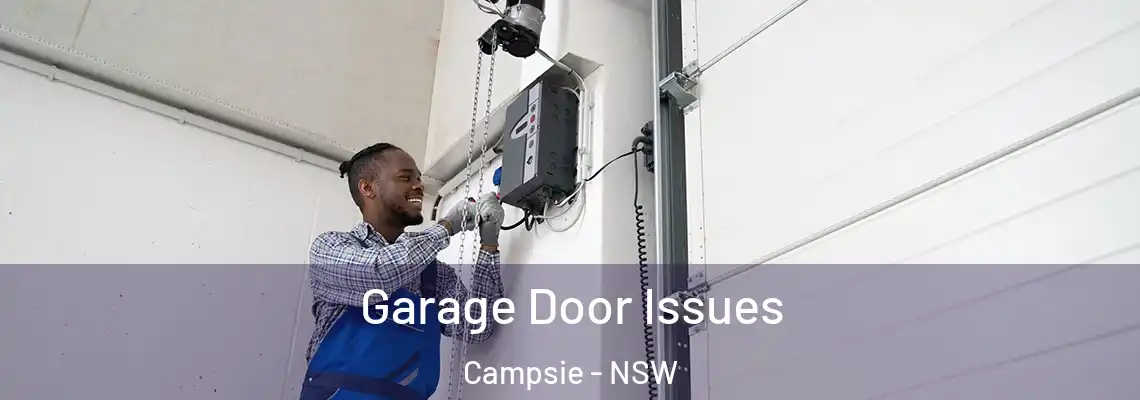 Garage Door Issues Campsie - NSW