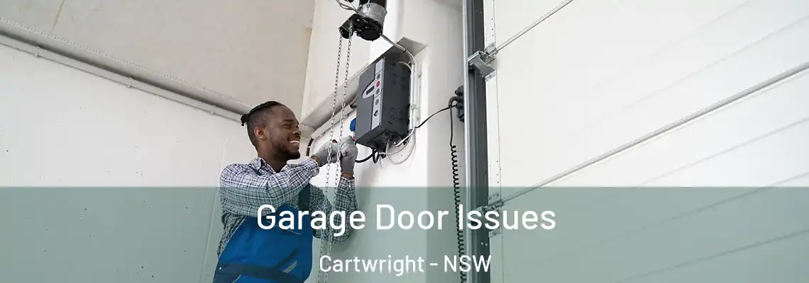 Garage Door Issues Cartwright - NSW