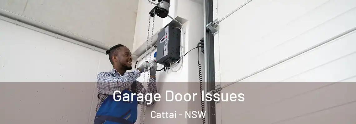 Garage Door Issues Cattai - NSW