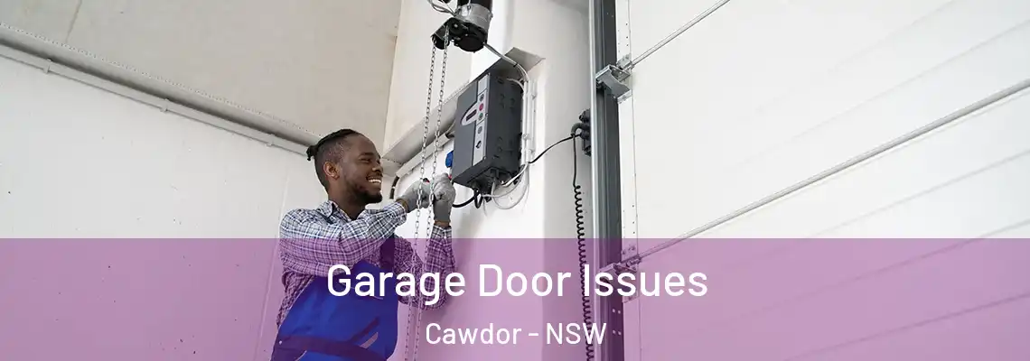 Garage Door Issues Cawdor - NSW