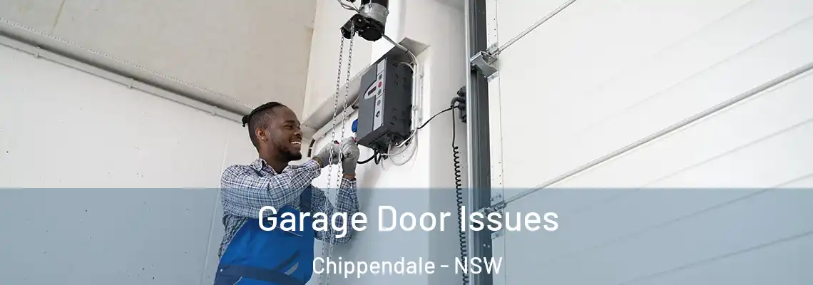 Garage Door Issues Chippendale - NSW