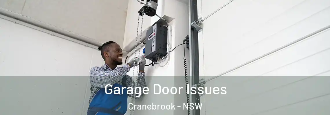 Garage Door Issues Cranebrook - NSW