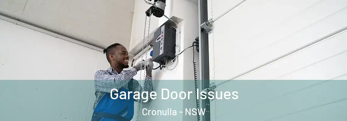 Garage Door Issues Cronulla - NSW
