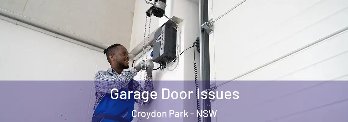 Garage Door Issues Croydon Park - NSW