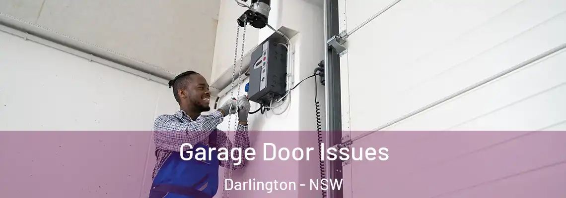 Garage Door Issues Darlington - NSW