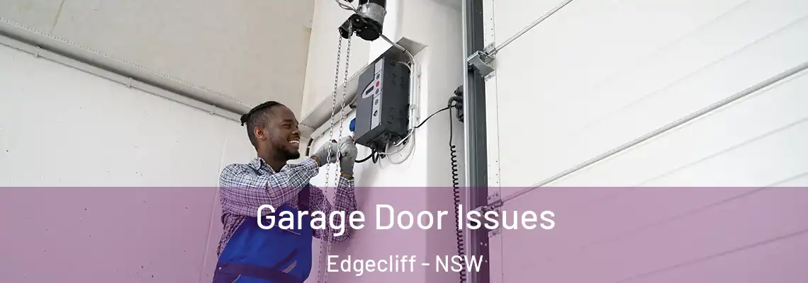 Garage Door Issues Edgecliff - NSW