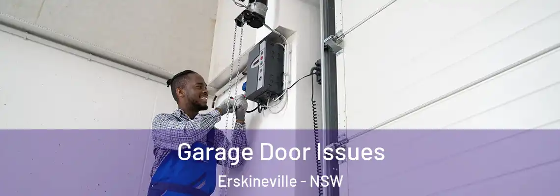 Garage Door Issues Erskineville - NSW